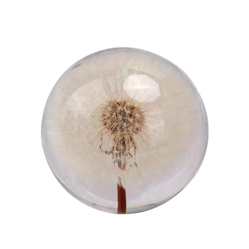Dandelion Plant Specimen Crystal Ball Music Box