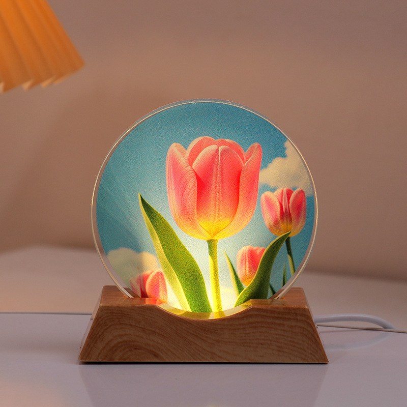 Astronaut Planet Table Lamp Crystal Night Light Illuminated Decorative Piece