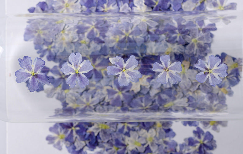 Dried Flower Plant Specimen Epoxy Phone Case
