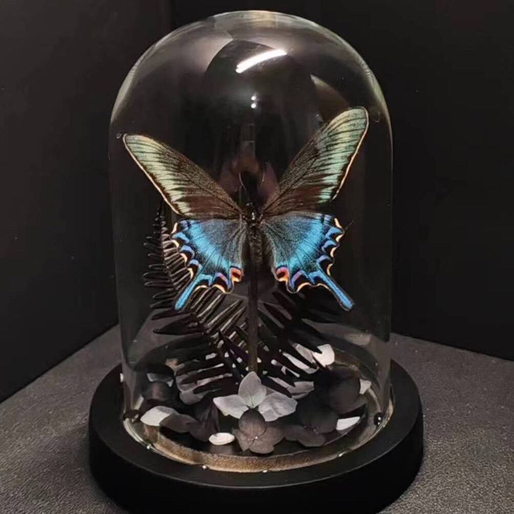 Green Belt Real Butterfly Specimens Art Glass Cover