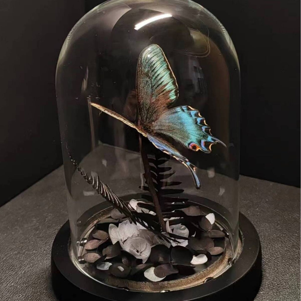 Green Belt Real Butterfly Specimens Art Glass Cover