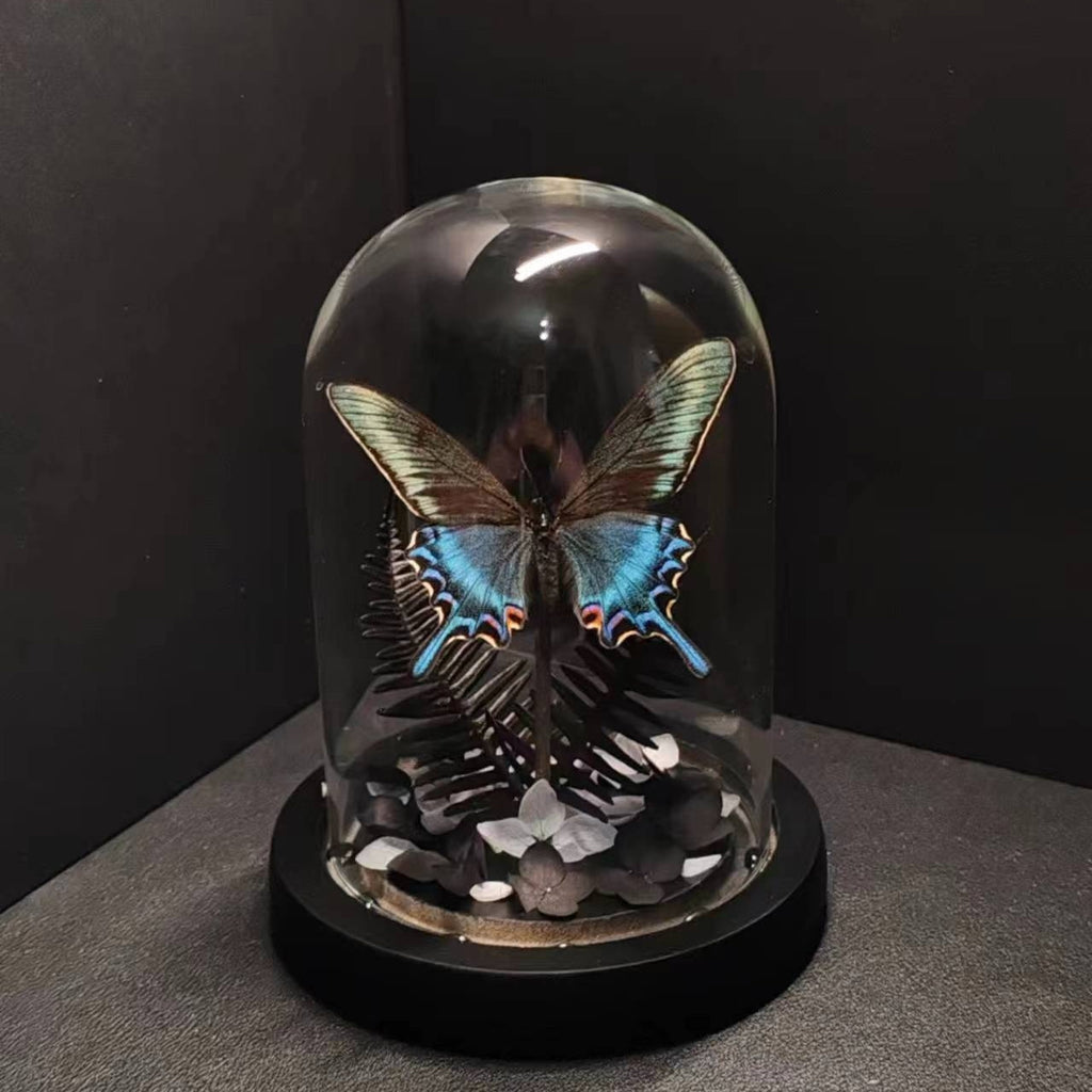 Green Belt Real Butterfly Specimens Art Glass Cover