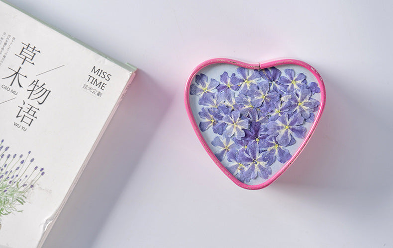 Dried Flower Plant Specimen Epoxy Phone Case