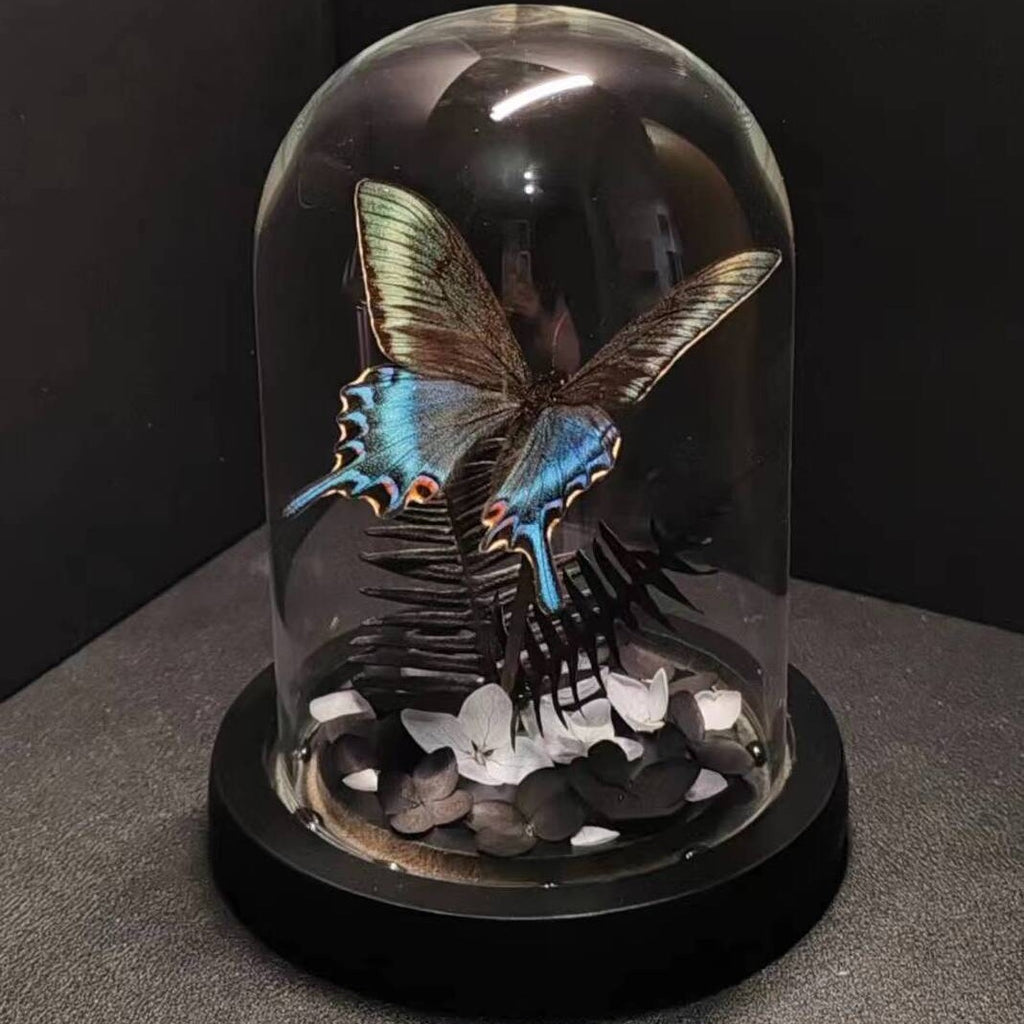 Green Belt Real Butterfly Specimens Art Glass Cover